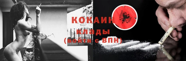 стаф Волосово