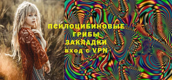 амф Володарск
