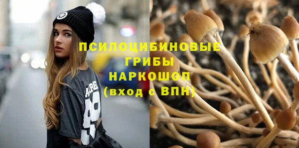 стаф Волосово